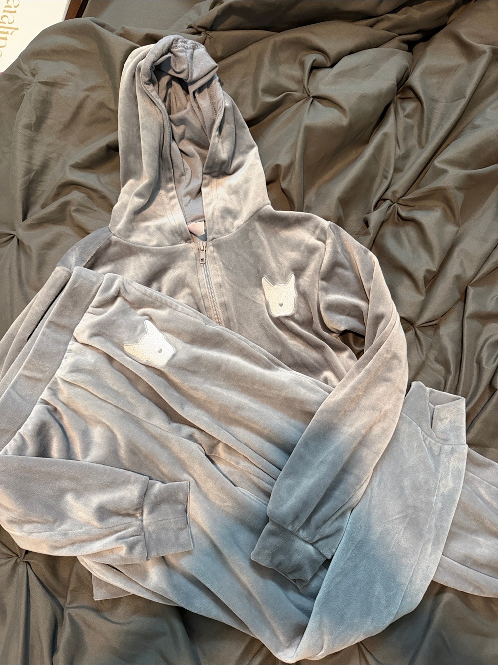 Kids Plush Hooded Zip-Up & Jogger Set - Light Gray